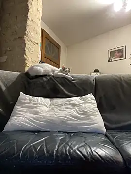 steph19x5 online show from 03-14-26, 06:19