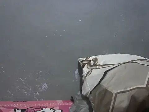 Forsia online show from 03-25-26, 05:13