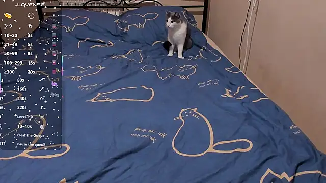 eva zero online show from 03-10-26, 01:49