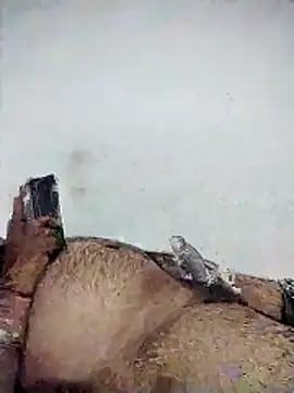 Desi Londa 143 online show from 02-24-26, 05:00