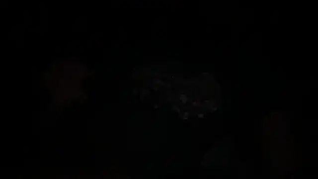 waveonce- online show from 12-14-25, 07:36