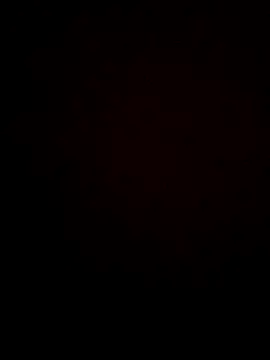 gokhanbey34 online show from 11-26-25, 05:14