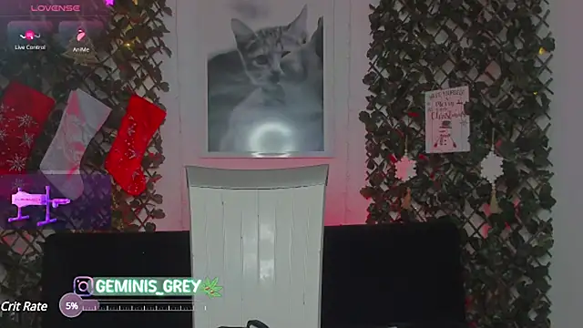 Snapshot of 420Geminis chatting on 01-28-25, 03:15 420Geminis online show from 01-28-25, 03:15