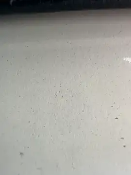 S2kicibey06 online show from 02-07-25, 07:29