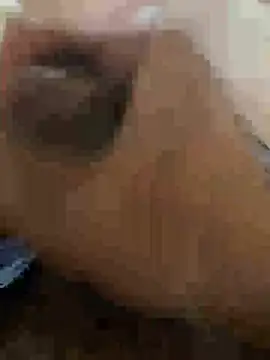 Snapshot of stuard-19 chatting on 07-17-26, 11:20 stuard-19 online show from 07-17-26, 11:20