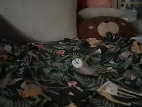 Perwers 41 online show from 11-02-25, 02:19