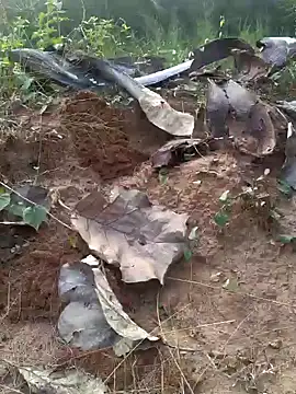 Gopal1243 online show from 02-20-25, 12:04