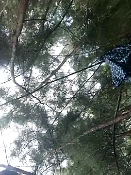 Gopal1243 online show from 09-28-25, 06:19