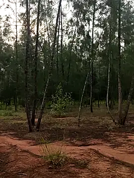 Gopal1243 online show from 10-09-25, 01:58