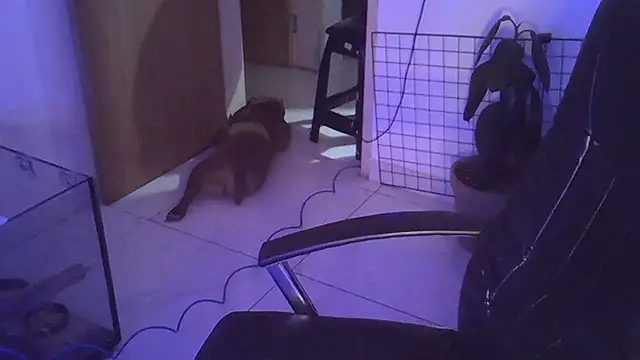 Snapshot of myamillor chatting on 12-14-24, 01:17 myamillor online show from 12-14-24, 01:17