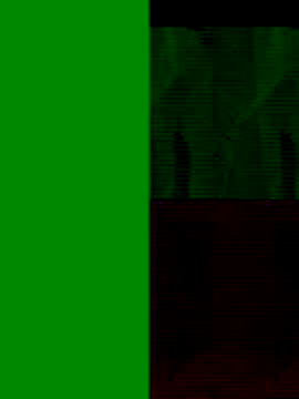 Snapshot of GeilerSchweizer chatting on 11-25-25, 08:47 GeilerSchweizer online show from 11-25-25, 08:47