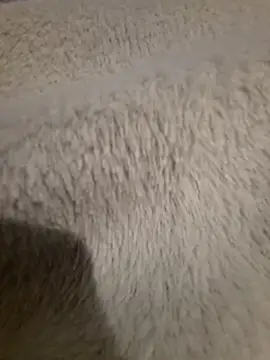 GeilerSchweizer online show from 04-24-26, 08:00