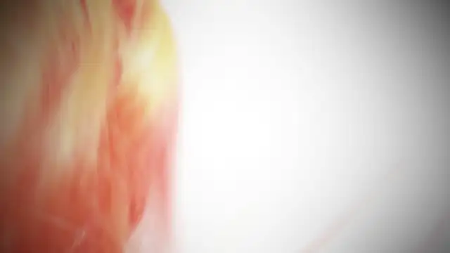 Snapshot of MayaAkashova chatting on 11-01-25, 05:04 MayaAkashova online show from 11-01-25, 05:04