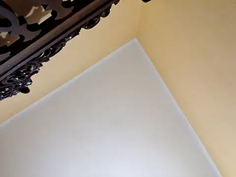 White rabbit  online show from 10-29-25, 10:00