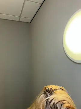 Strongqueen online show from 02-13-26, 06:15