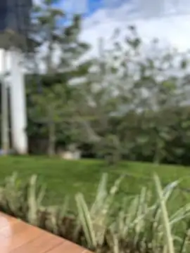 sahorix1 online show from 02-16-26, 03:30