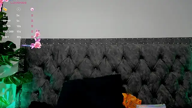 Dounia nagi online show from 01-25-25, 12:26