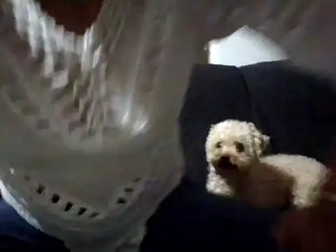 RAYA 1 online show from 02-02-25, 12:51