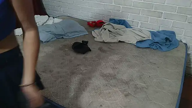 valeriaswang Lucas online show from 11-25-25, 04:18