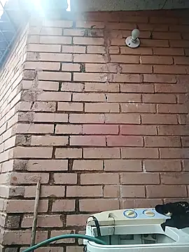 valeriaswang Lucas online show from 12-04-25, 03:43