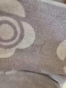 cuminpussyalot online show from 03-08-26, 01:26