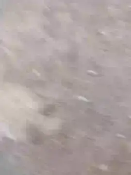 dheck2020 online show from 01-07-25, 11:45