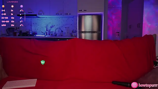 Snapshot of How2Meow chatting on 12-02-25, 04:46 How2Meow online show from 12-02-25, 04:46