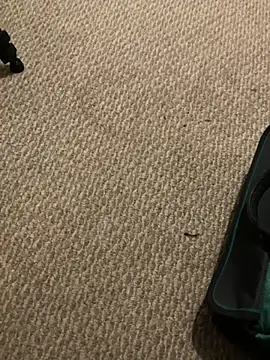 Snapshot of 1Lustfully_yours chatting on 11-10-25, 07:57 1Lustfully yours online show from 11-10-25, 07:57