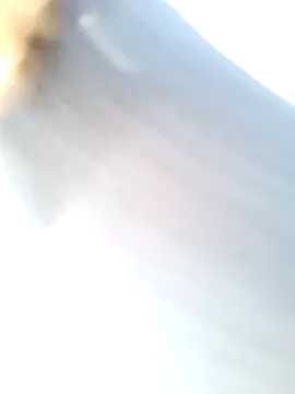 Snapshot of mustican422 chatting on 02-25-25, 10:04 mustican422 online show from 02-25-25, 10:04