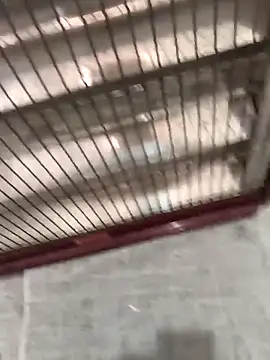 Snapshot of mustican422 chatting on 10-25-25, 11:07 mustican422 online show from 10-25-25, 11:07