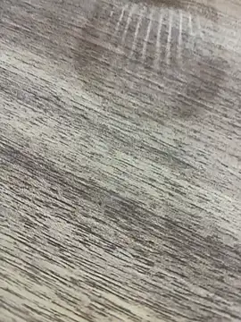 bulpof online show from 04-01-26, 05:32