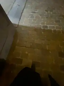 Snapshot of Thepanthera chatting on 09-22-25, 04:47 Thepanthera online show from 09-22-25, 04:47