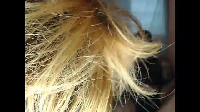 lover 1994 online show from 03-27-26, 12:05