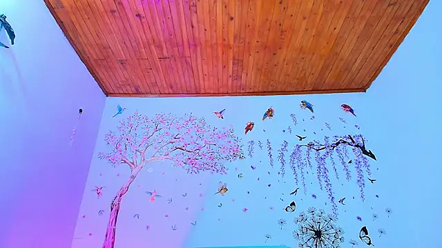 Sofiia Diiaz online show from 11-27-25, 01:24