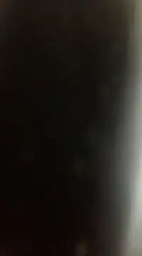 Snapshot of Likewise chatting on 12-22-24, 09:09 Likewise online show from 12-22-24, 09:09