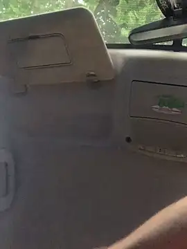 Snapshot of Likewise chatting on 03-23-25, 04:38 Likewise online show from 03-23-25, 04:38