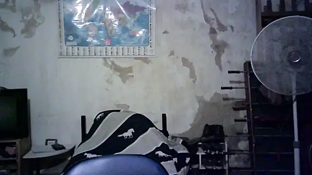 Emv2 online show from 11-26-25, 04:57