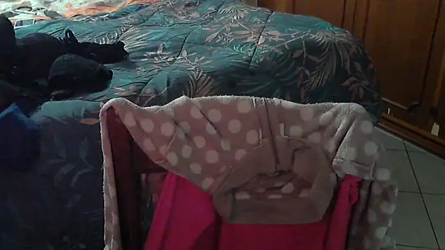 stellin online show from 02-17-26, 04:57