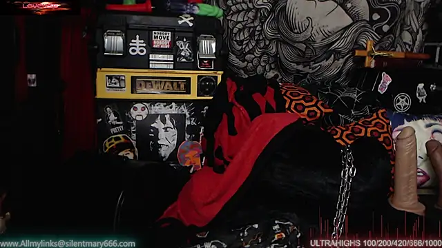 Snapshot of Silentmary chatting on 02-18-25, 11:52 Silentmary online show from 02-18-25, 11:52