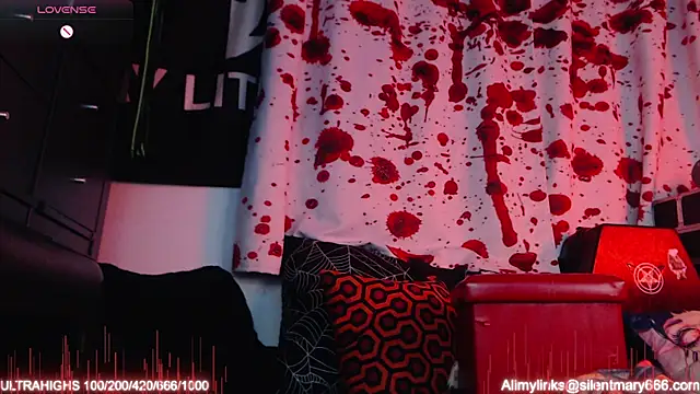 Snapshot of Silentmary chatting on 11-19-25, 02:44 Silentmary online show from 11-19-25, 02:44