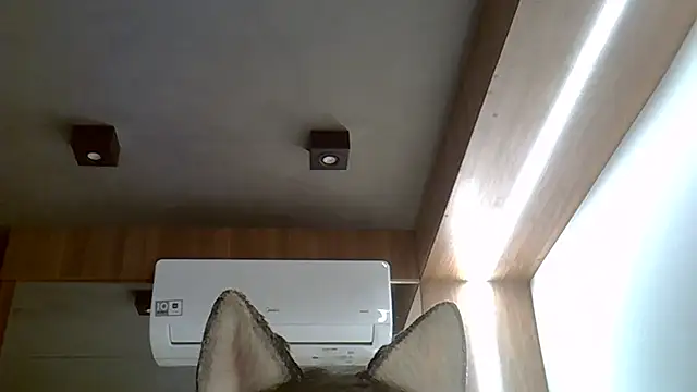 Skinny-Kitten online show from 09-20-25, 02:45