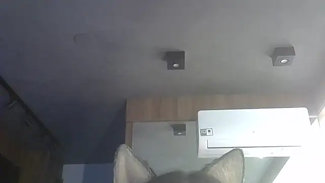 Skinny-Kitten online show from 12-01-25, 09:47