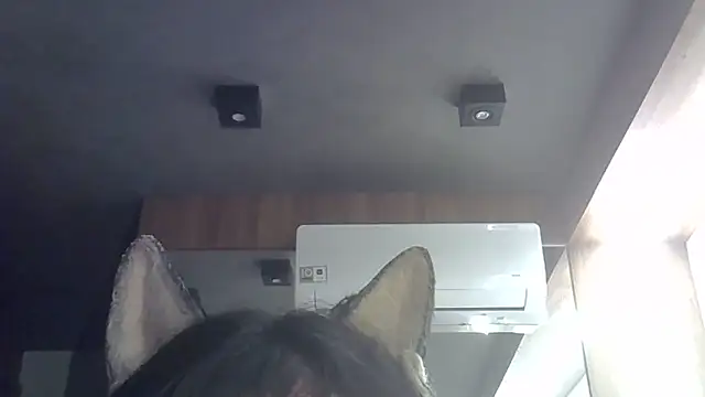 Skinny-Kitten online show from 02-11-26, 11:21