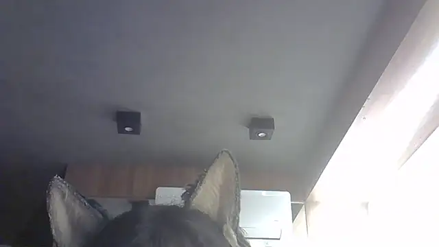 Skinny-Kitten online show from 02-14-26, 02:03