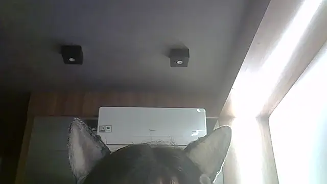 Skinny-Kitten online show from 03-27-26, 08:37