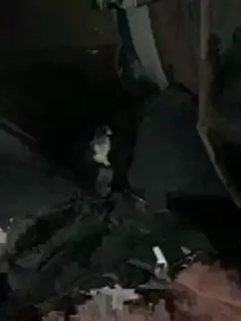 prekumstud online show from 02-20-26, 11:43