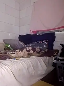 Snapshot of Stormward chatting on 03-25-26, 05:24 Stormward online show from 03-25-26, 05:24