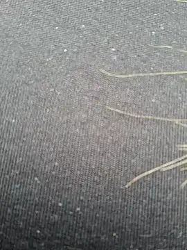 Snapshot of Evehampy chatting on 12-01-24, 06:08 Evehampy online show from 12-01-24, 06:08