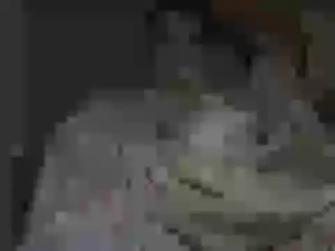 Snapshot of maxstelll chatting on 02-24-26, 04:21 maxstelll online show from 02-24-26, 04:21