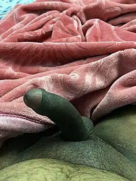 Snapshot of Honeydick7 chatting on 01-03-25, 05:31 Honeydick7 online show from 01-03-25, 05:31